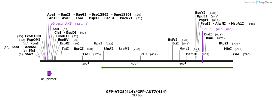 76986_map