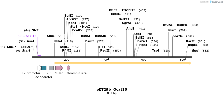 76991_map