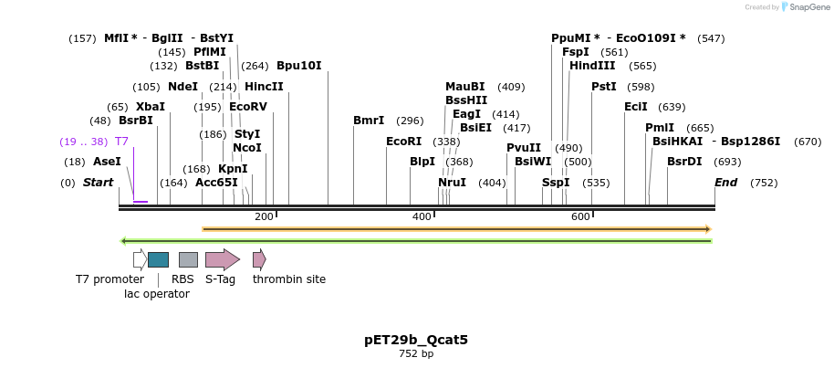 76992_map