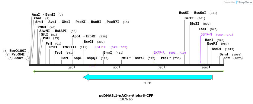 76993_map