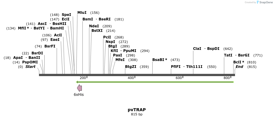 76994_map