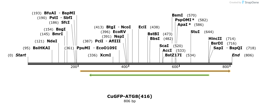 76995_map