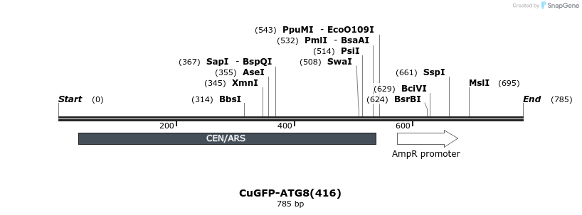 76997_map