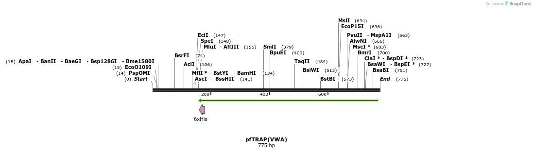 76998_map