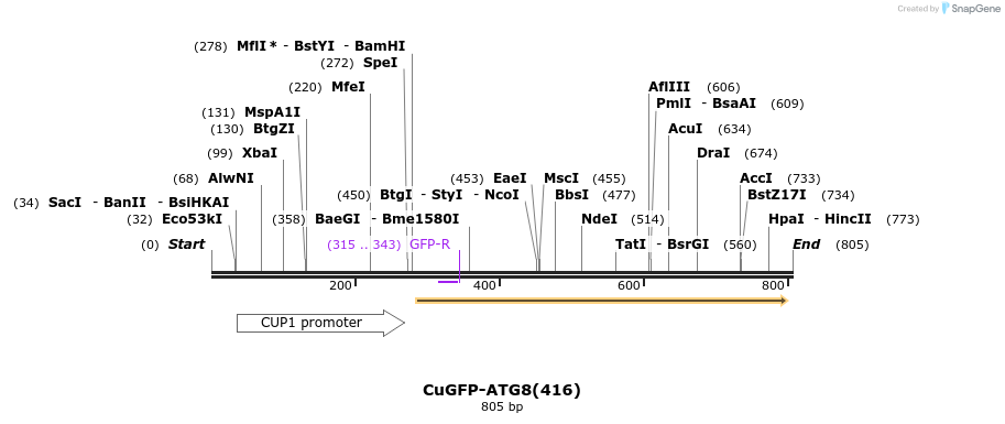 77001_map