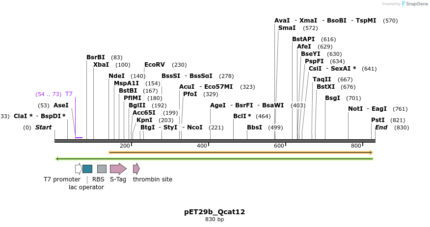 77003_map