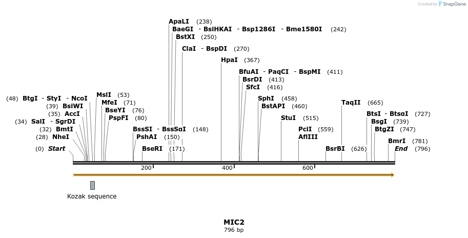 77004_map
