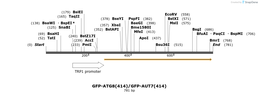 77005_map