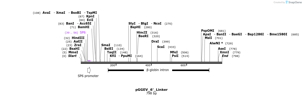 77006_map