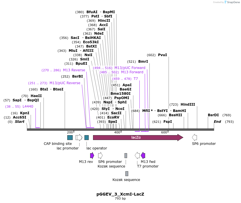 77009_map