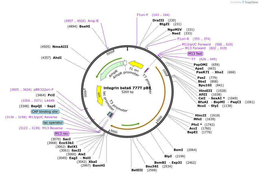 7701_map