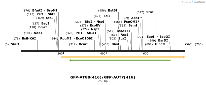 77010_map