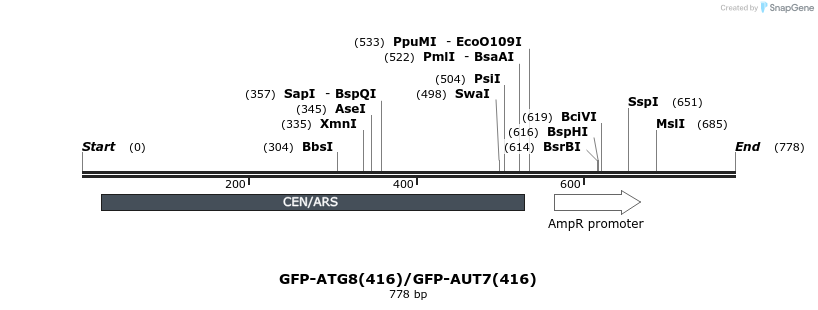 77011_map