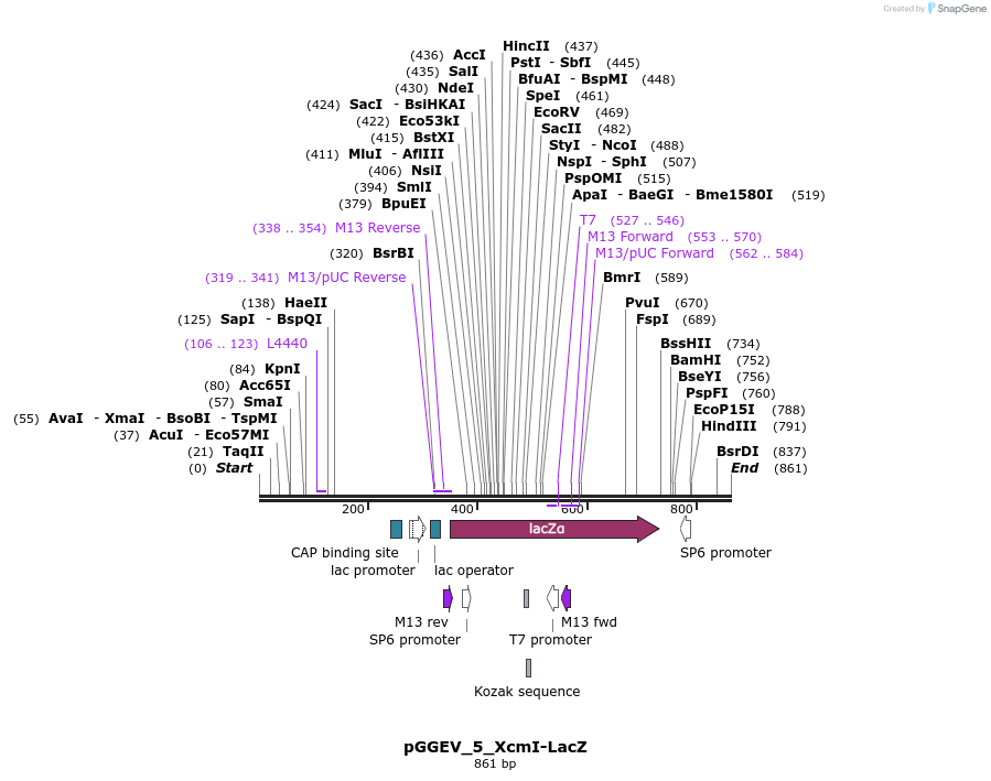 77013_map