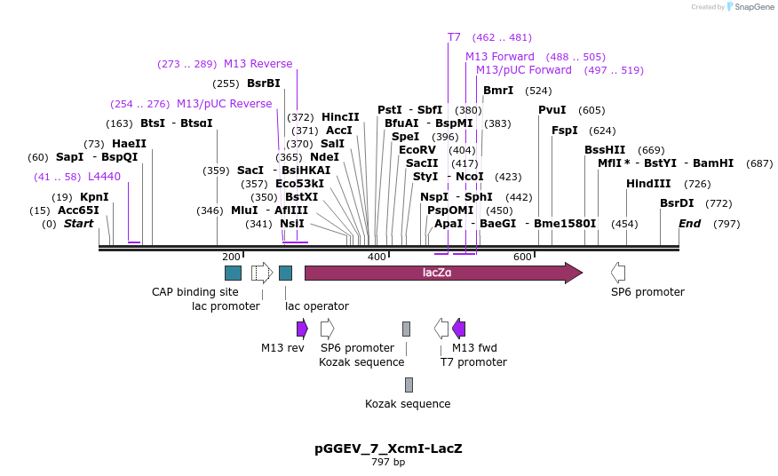 77014_map
