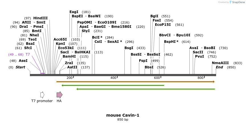 77017_map