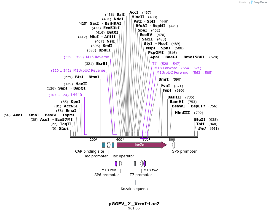 77018_map