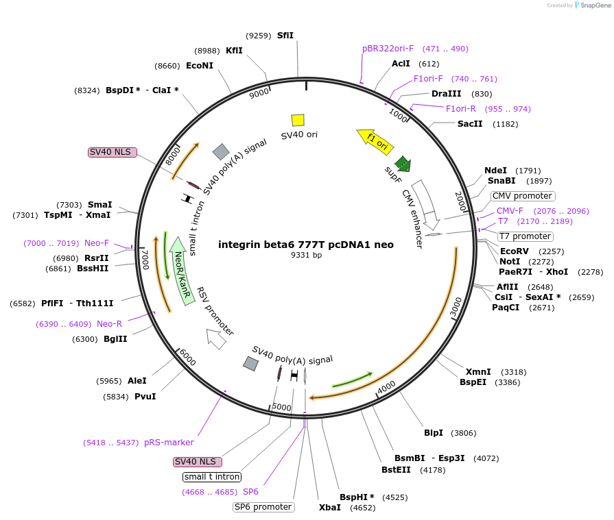 7702_map