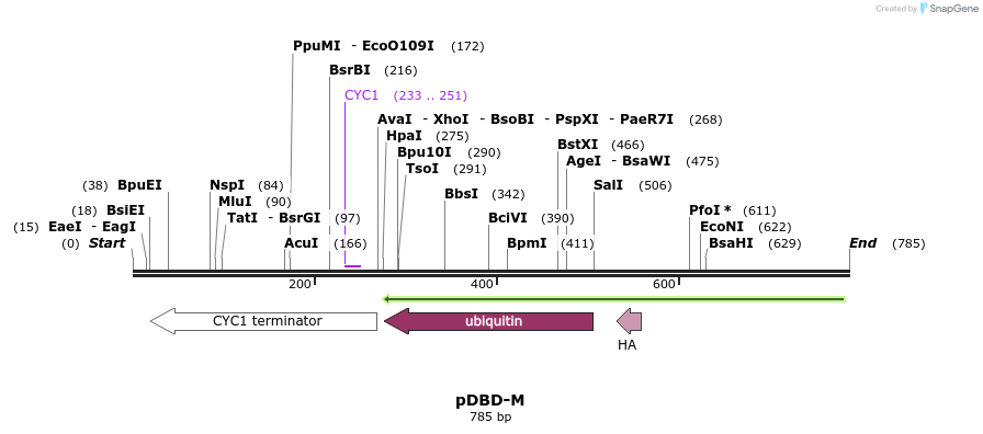 77021_map