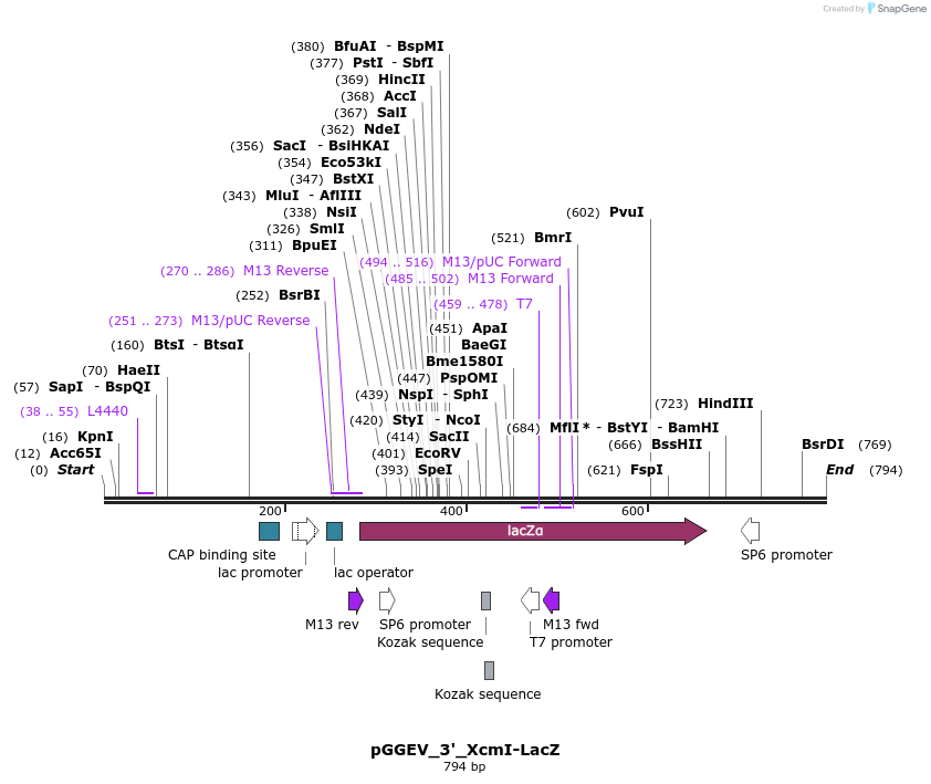 77023_map