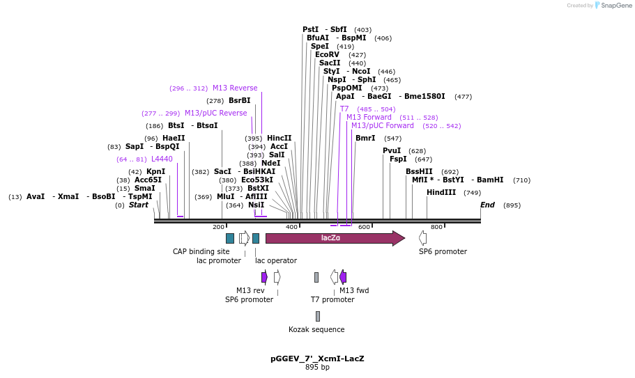 77026_map