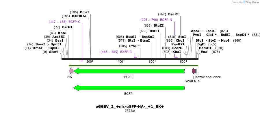 77028_map