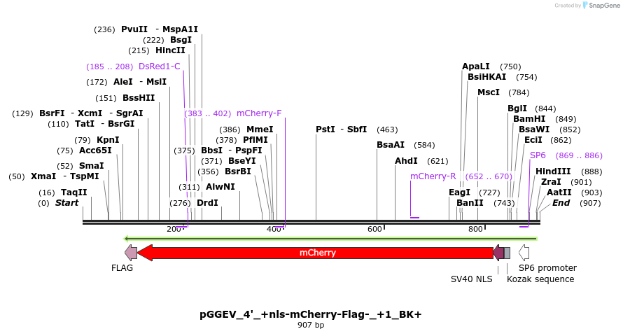 77029_map