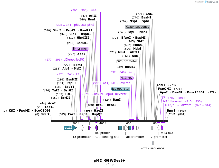 77031_map