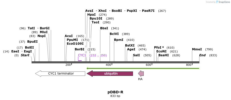 77032_map
