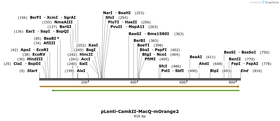 77035_map