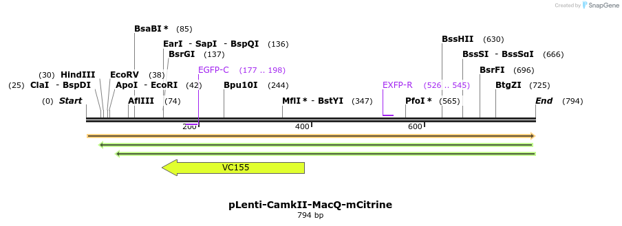 77036_map