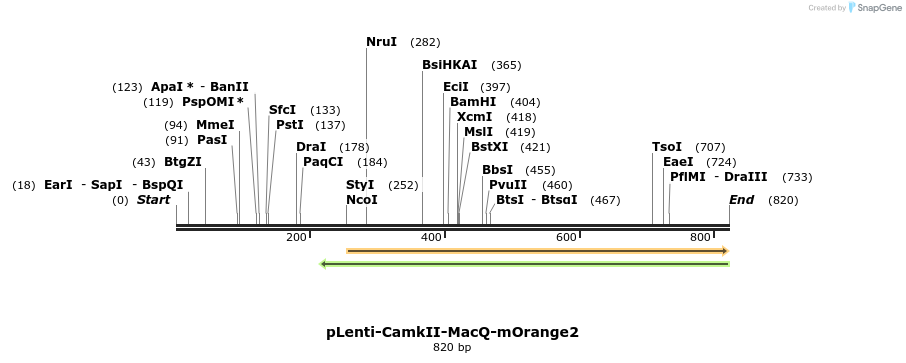 77037_map