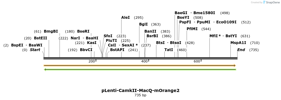 77038_map