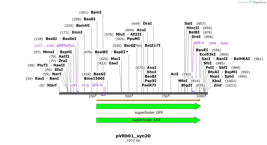 77040_map