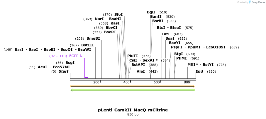 77041_map