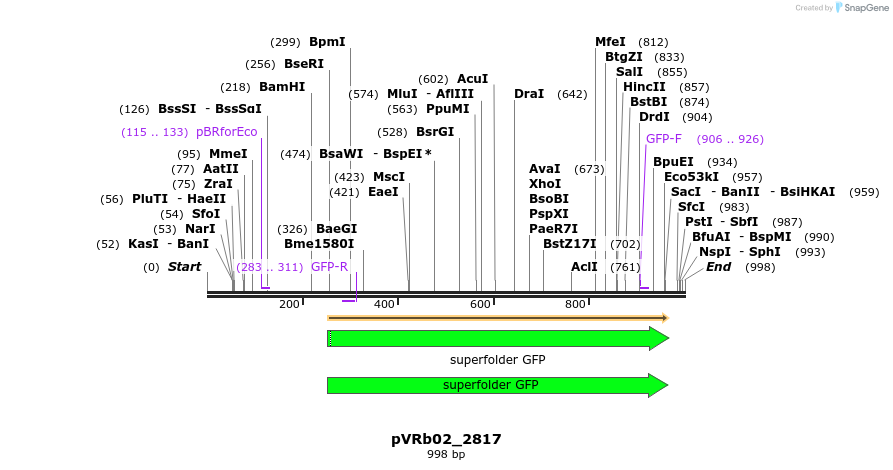 77042_map