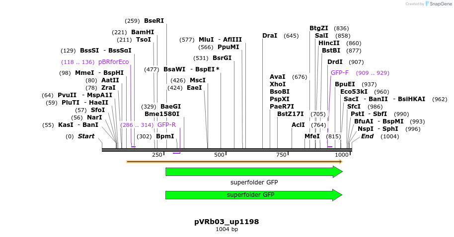 77043_map