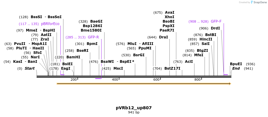 77048_map