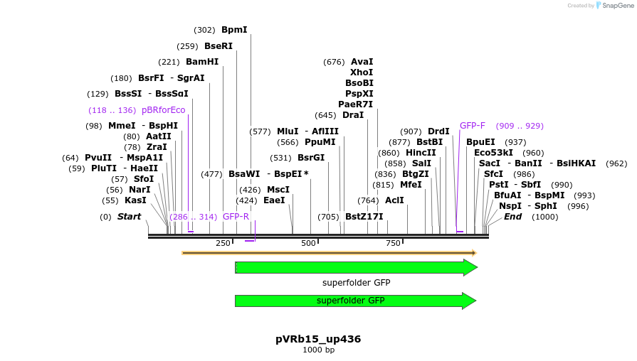77049_map