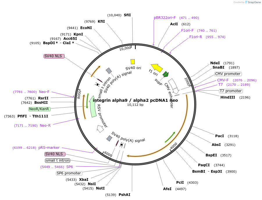 7705_map