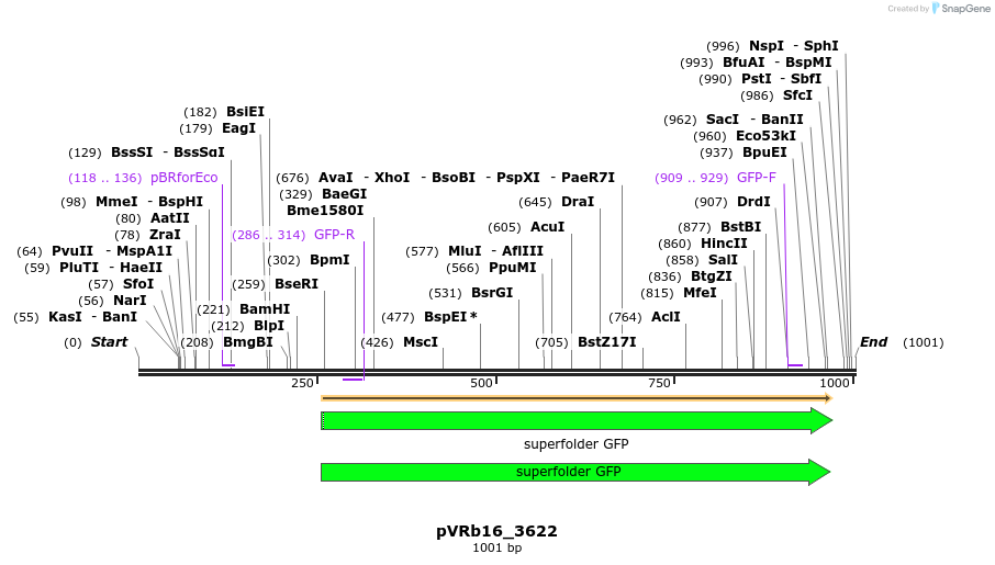 77050_map