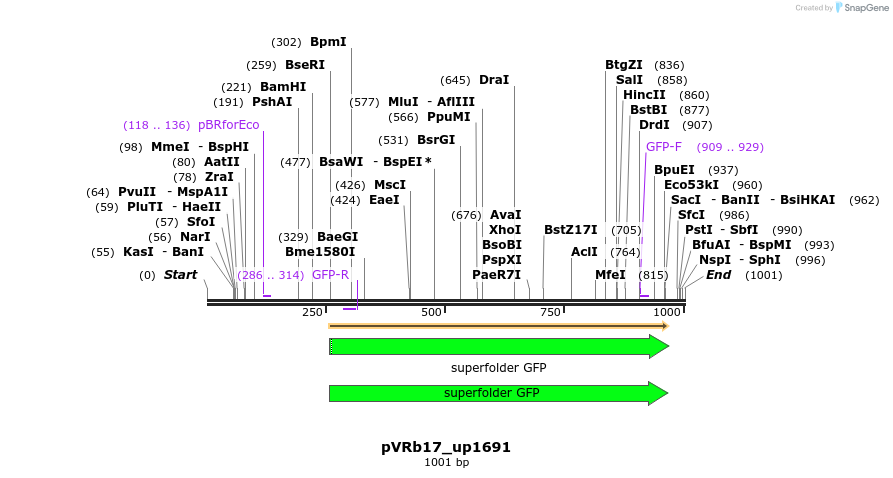 77051_map
