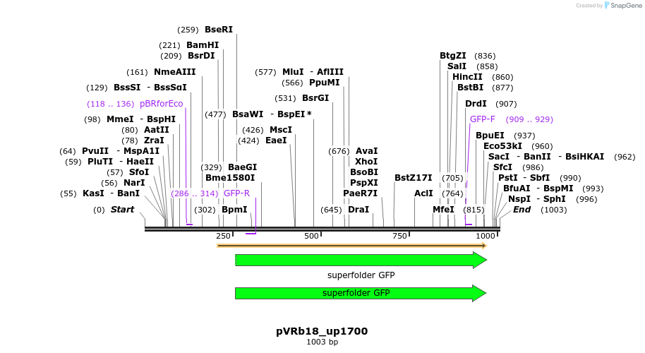 77052_map