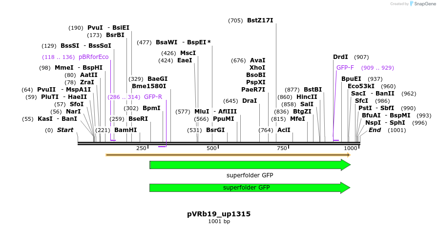 77053_map