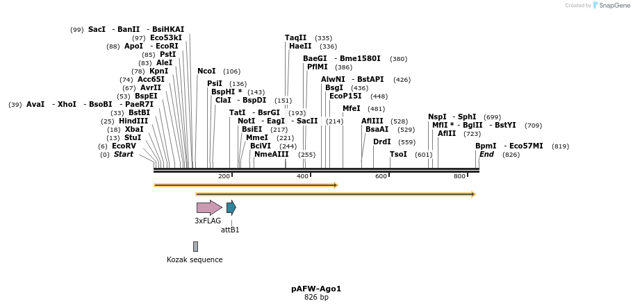 77057_map