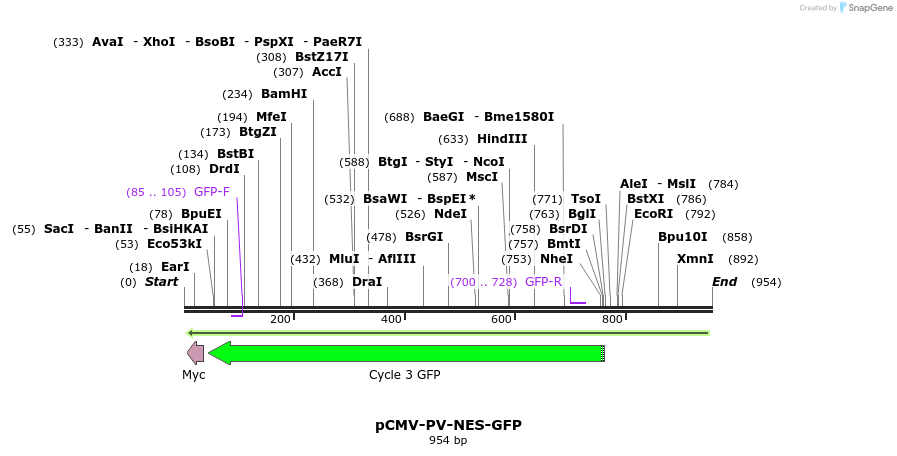 77058_map