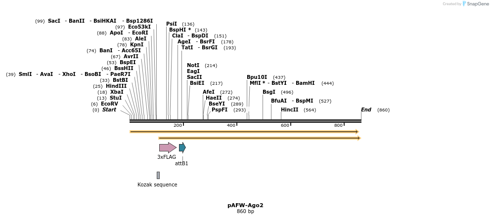 77059_map