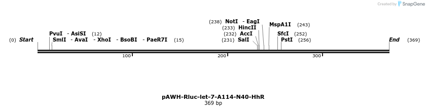 77060_map