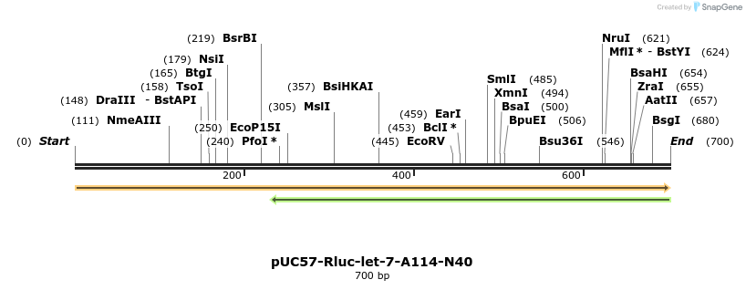77064_map