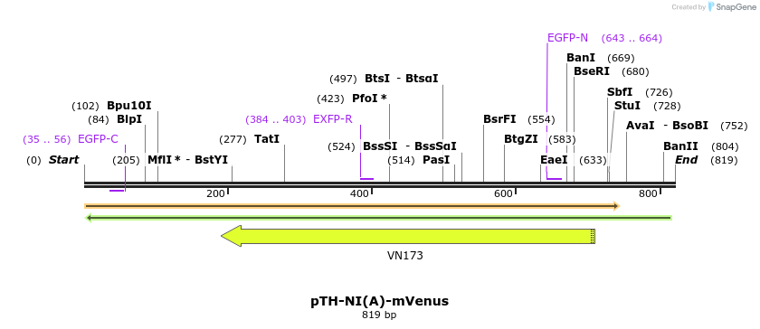 77065_map